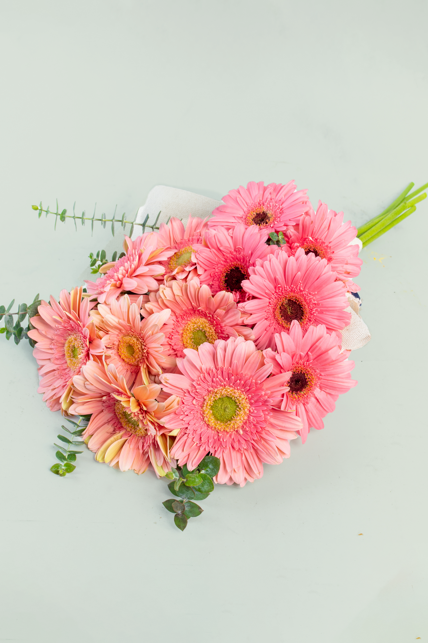 Ramo 9 Gerberas - Envoltura Yute PTO. ESCOND.