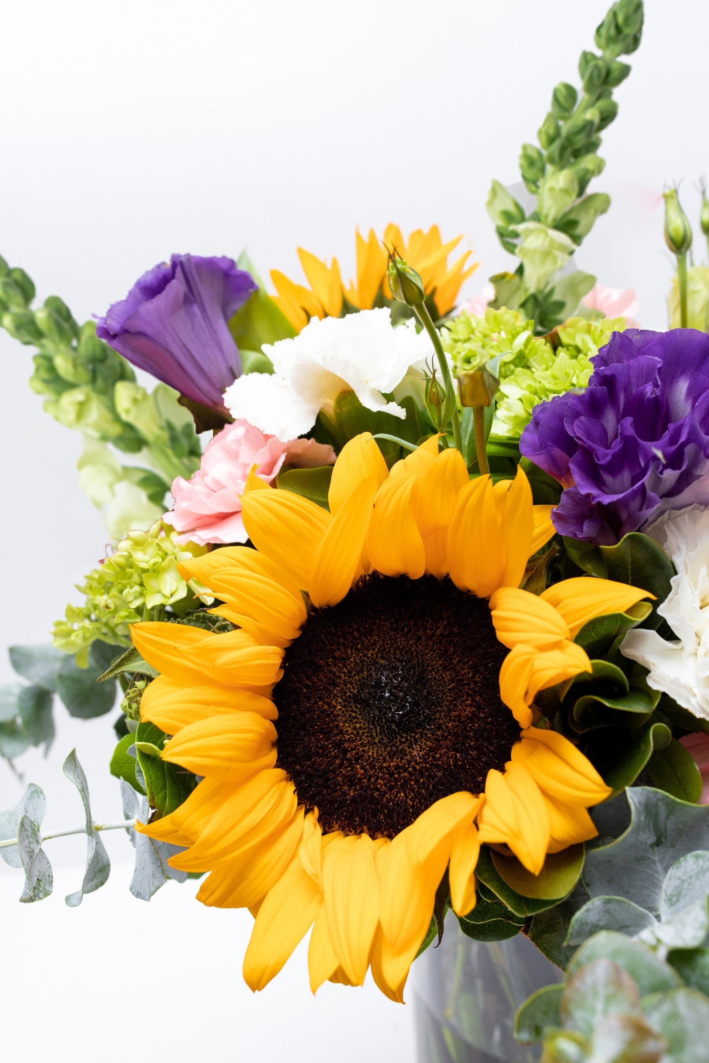 Emocionante - Girasol, Clavel Rosa y Blanco, Hortensia XAL
