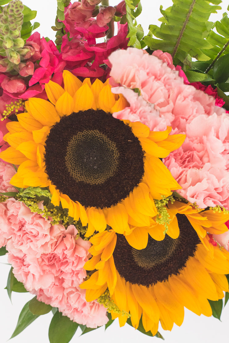 Feliz Día // Girasoles y Claveles Rosas SNL