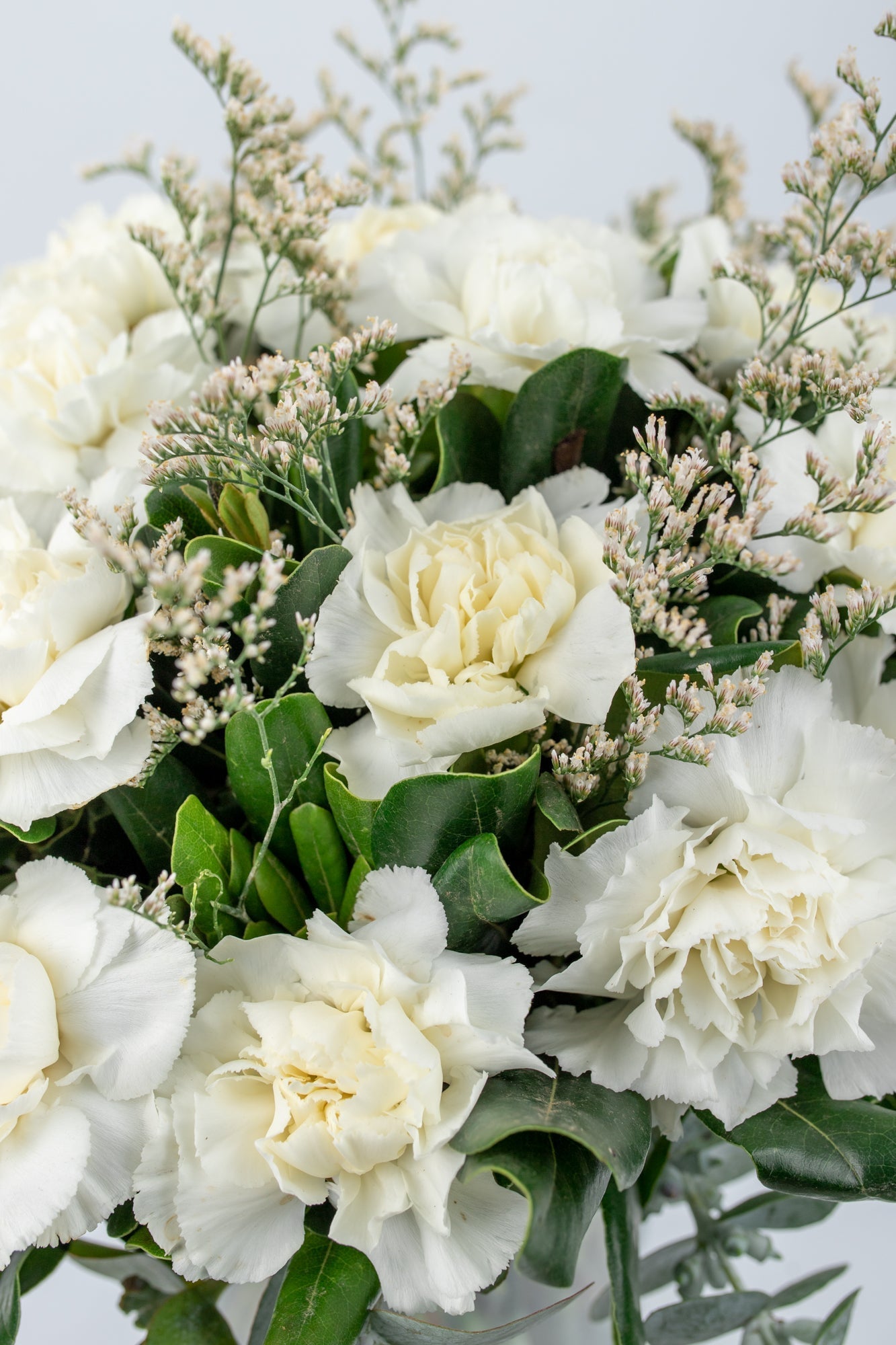Ramo Rivera Flores - Clavel Blanco