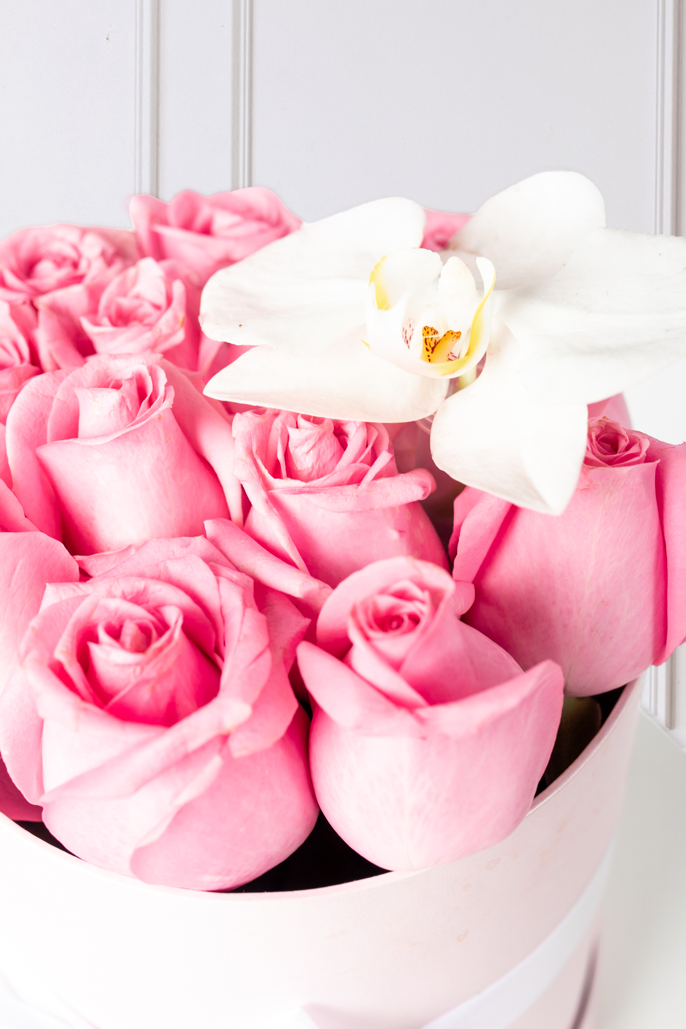 Everest - Caja de Rosas Claritas y Orquídea CH Atizapán