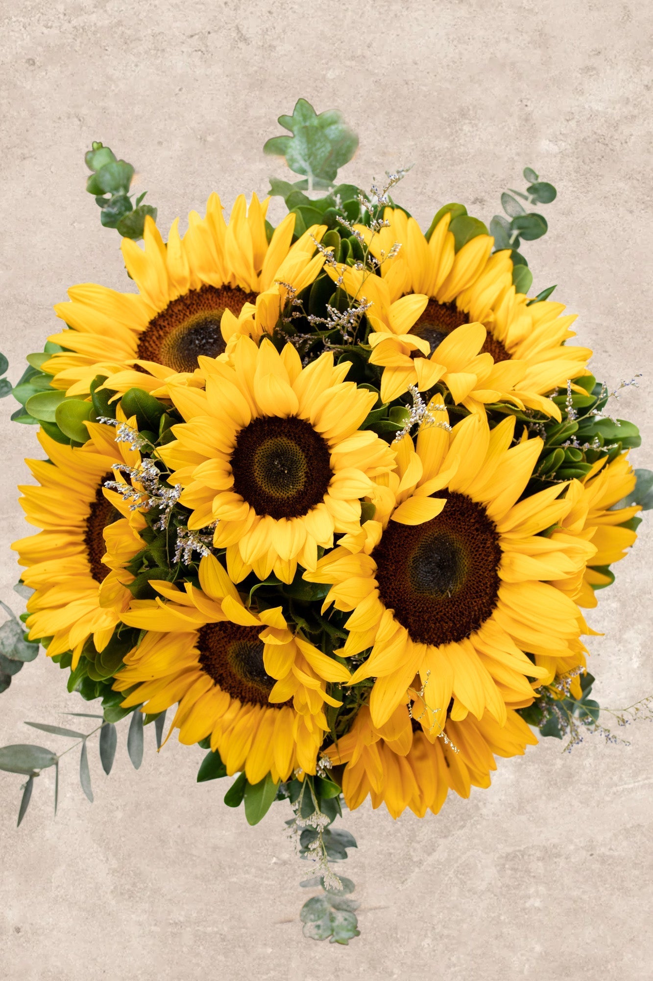 Sonrisa de Sol - Girasoles VILLA