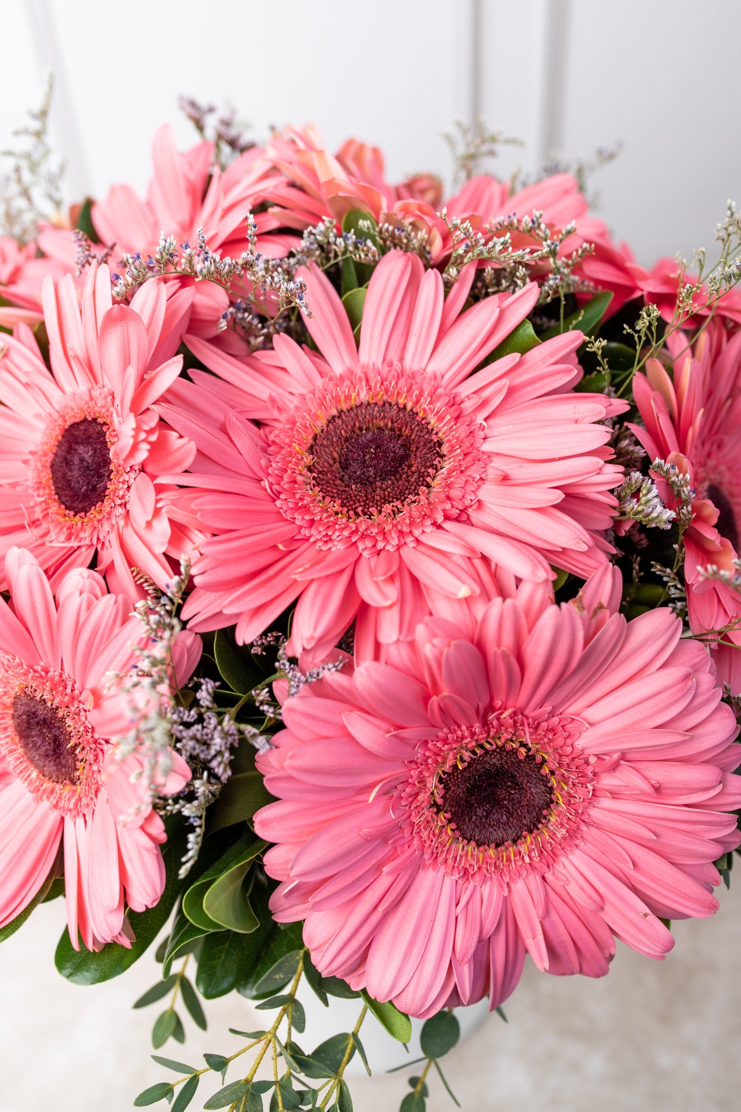 Dulce Primavera - Gerbera Rosa MERIDA