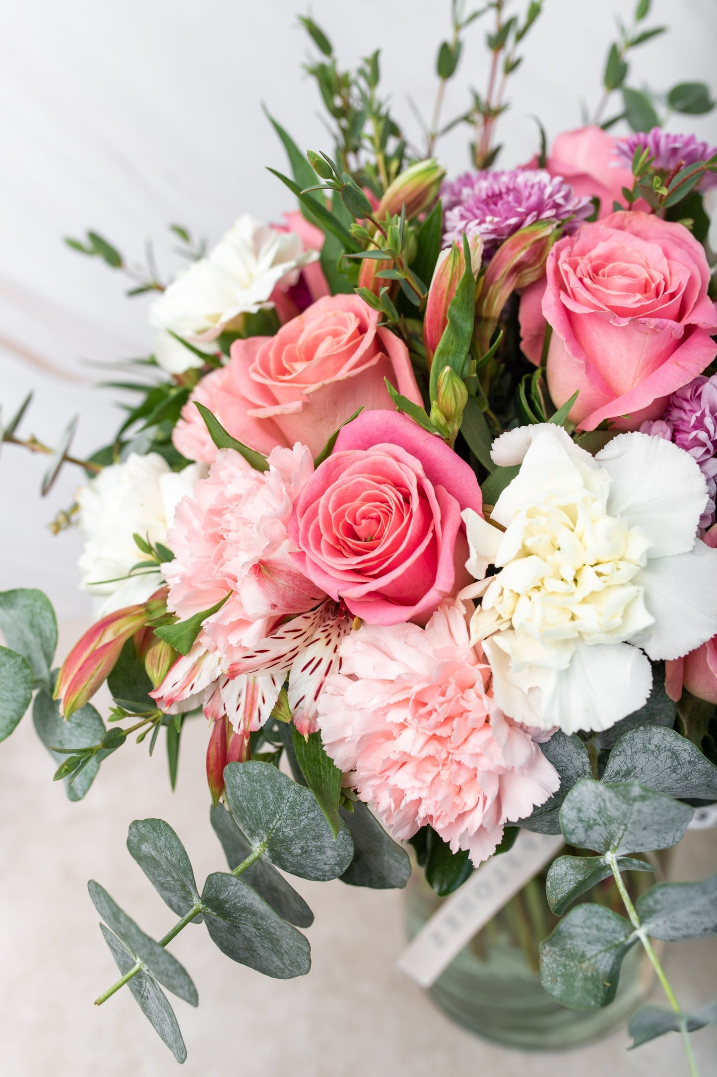 Fuego - Rosa Clarita, Clavel Rosa y Blanco MERIDA