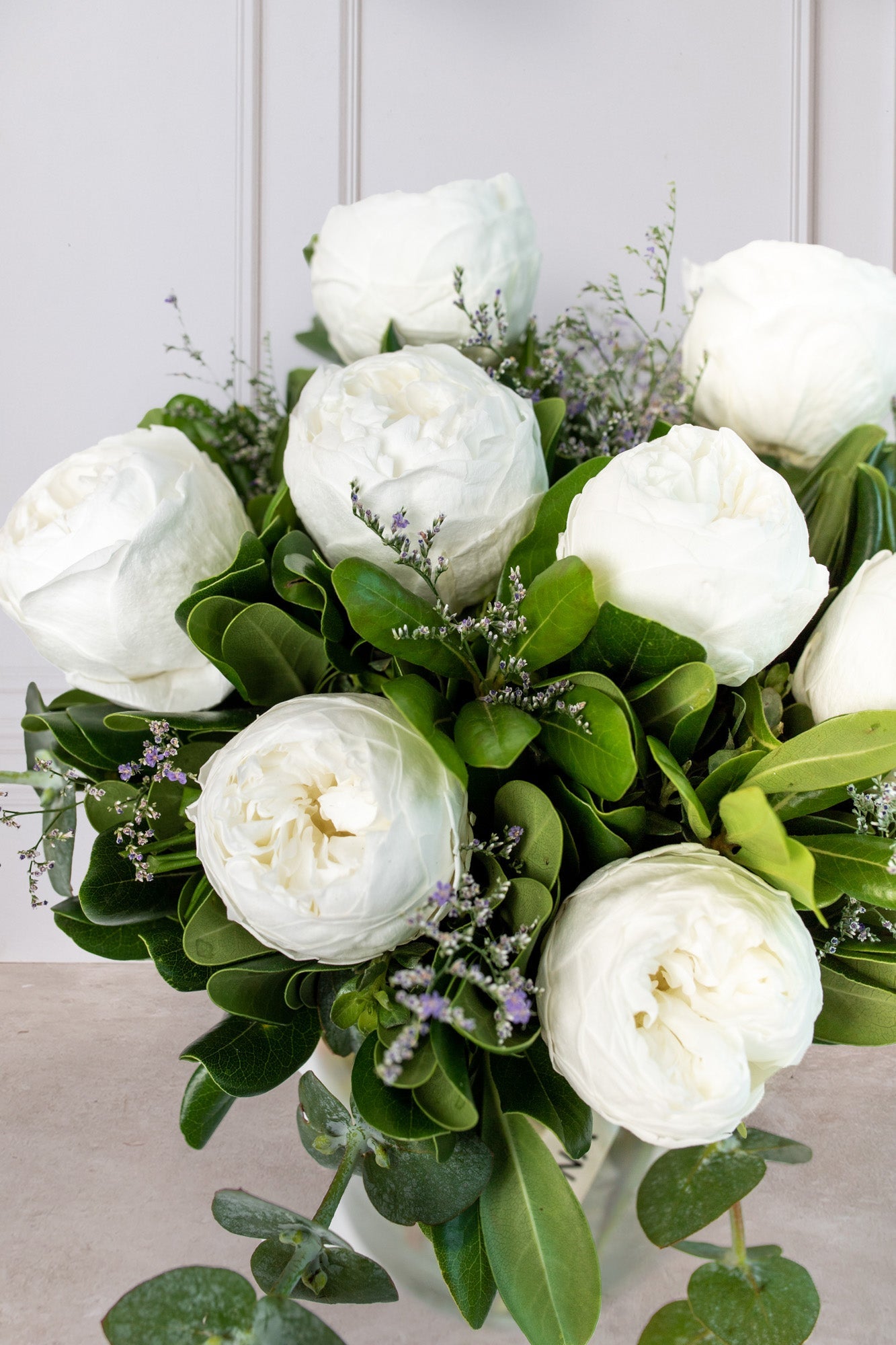 Bondad - Peonia Blanca