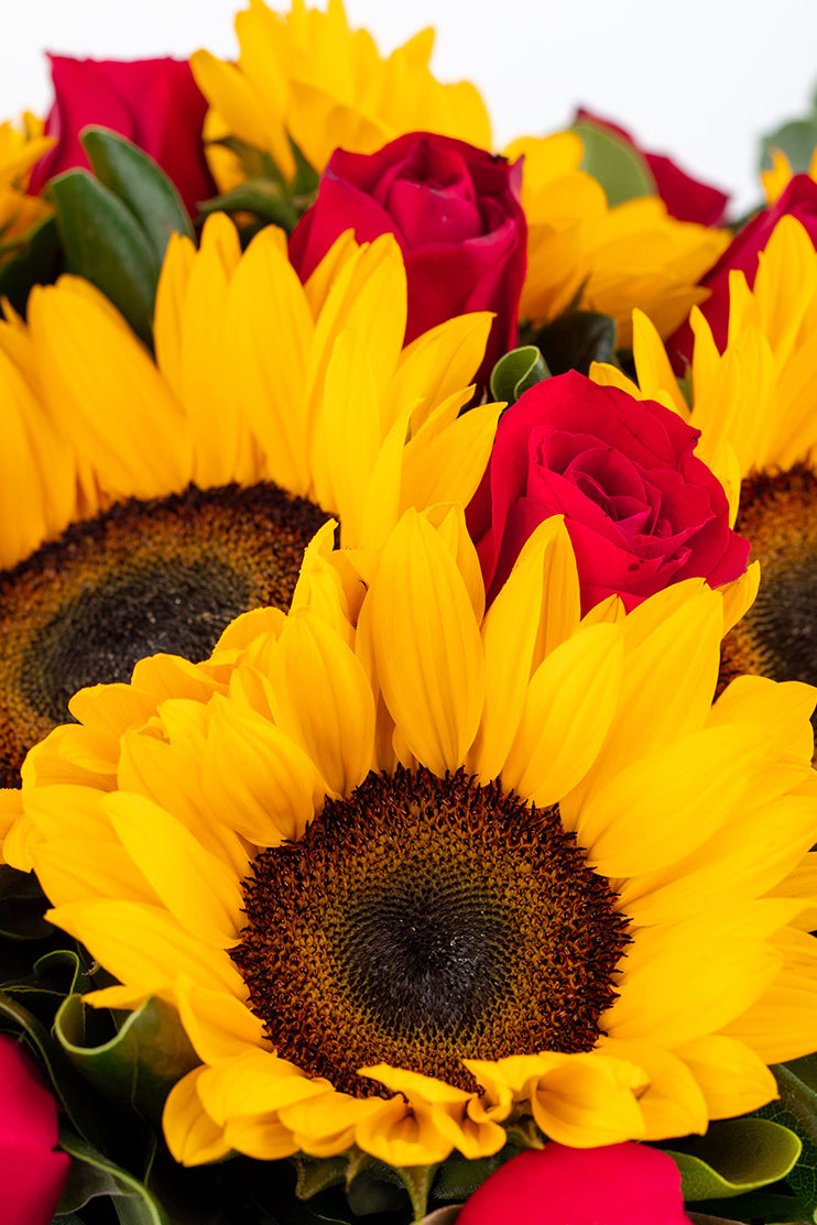 Sunset - Sunflower with Red Roses