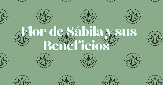 Flor de Sabila y sus Beneficios