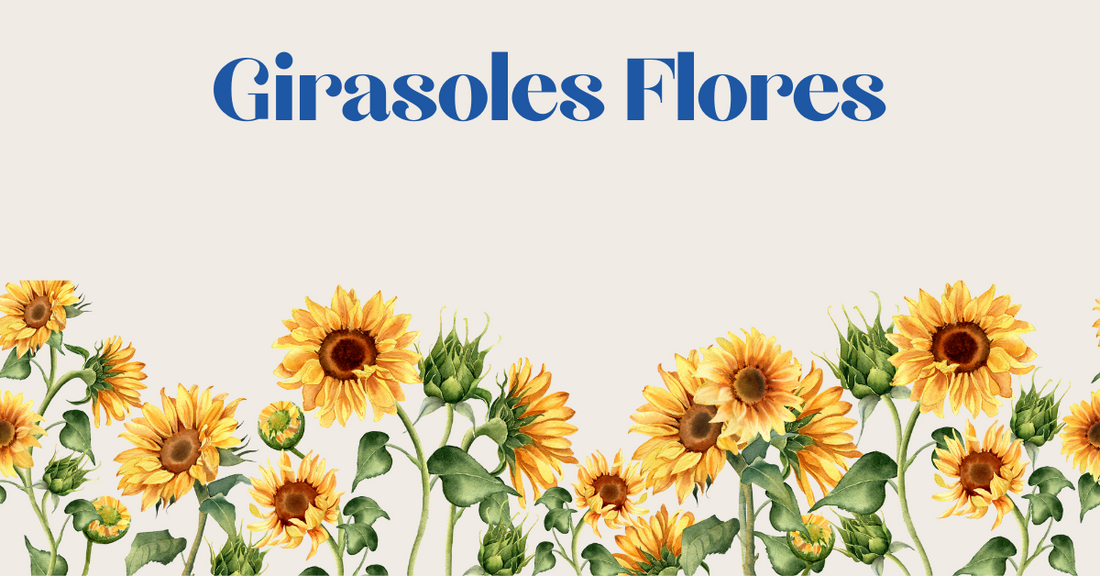 Girasoles