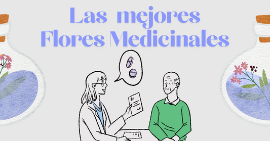Flores Medicinales en México