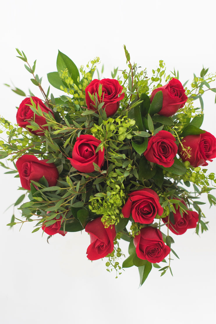 Doce entos / Rosa Roja IRAPUATO