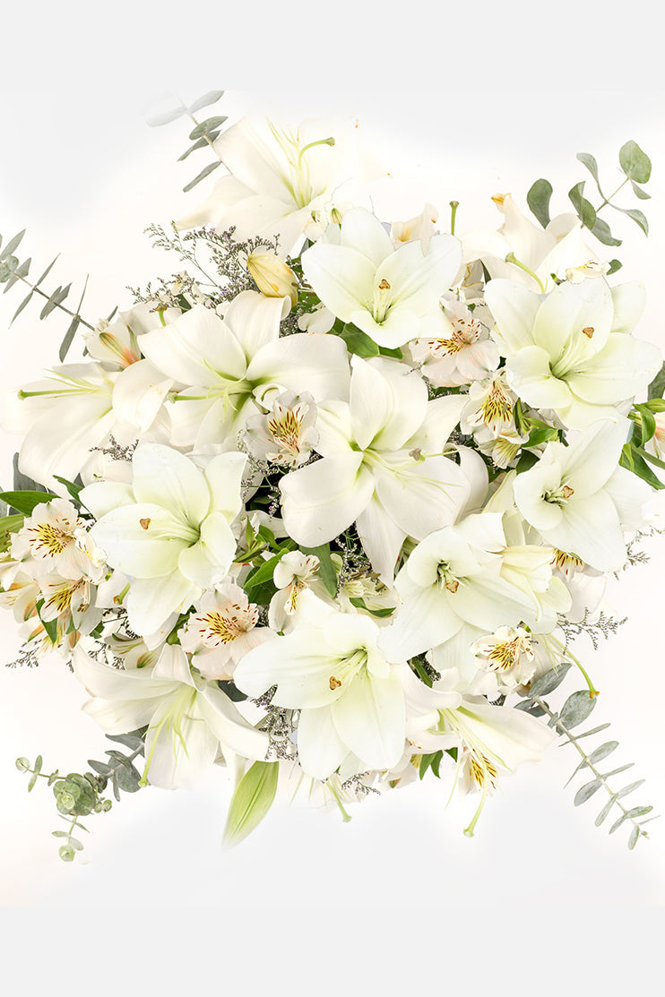 Algodón // Lilium Blanca y Astromelia Blanca APO