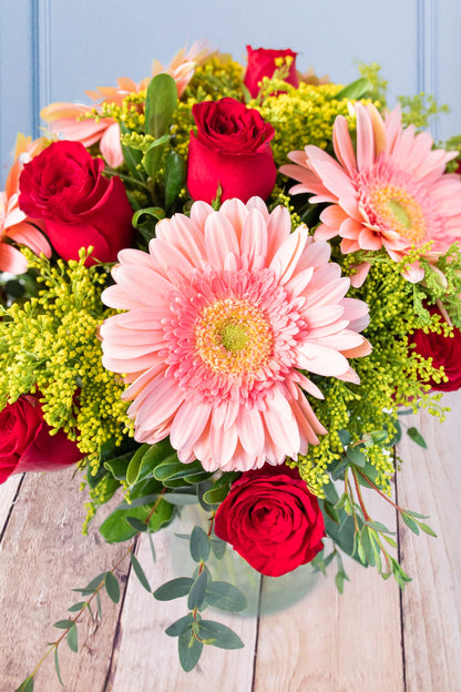 Baila Conmigo - Gerbera Rosa y Rosa Roja XAL