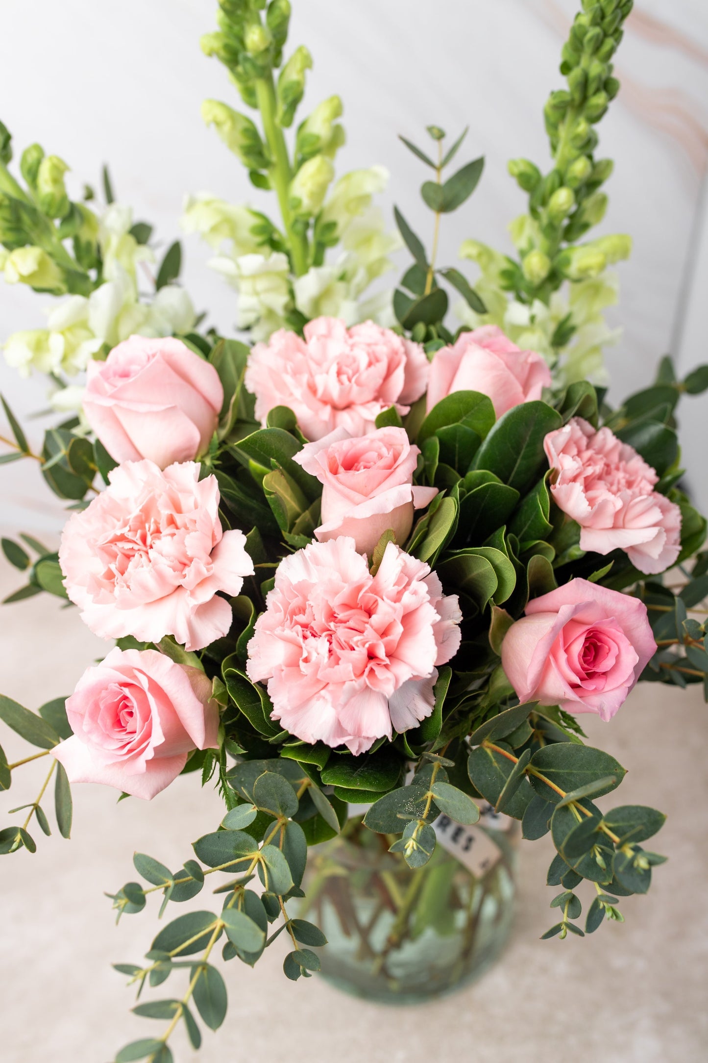 Campo Rosa / Rosa Clara y Clavel Rosa CEL.