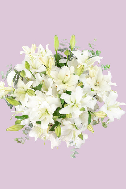 Casa Blanca - Lilium Blanca MERIDA