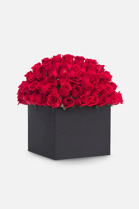 Amor Eterno // 100 Rosas PYC