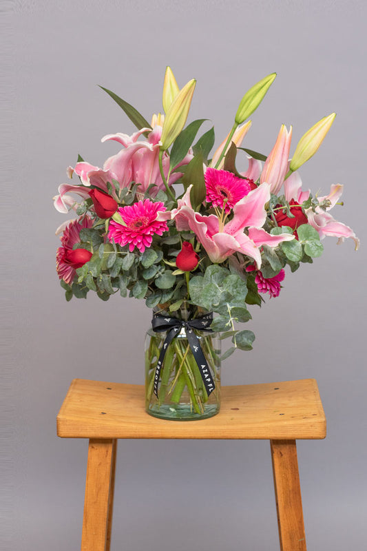 Lilium // Gerbera. SNL