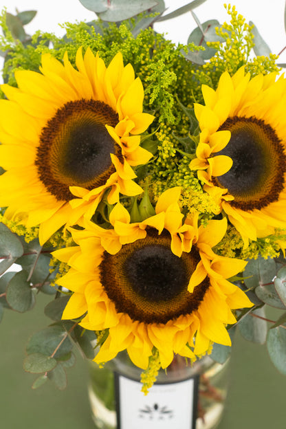 Tres motivos / Girasoles CEL.