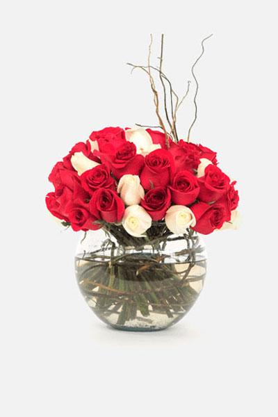 Burbujas de Amor // Rosas Blancas y Rojas en Pecera PYC
