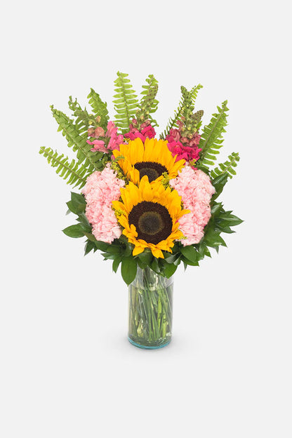 Feliz Día // Girasoles y Claveles Rosas SNL