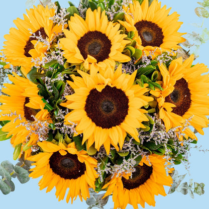 Sonrisa de Sol - Girasoles VILLA