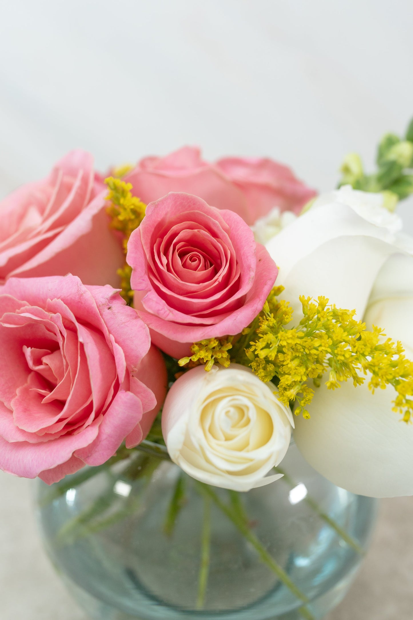 Centerpiece 14 - Rosa Clarita and Rosa Blanca