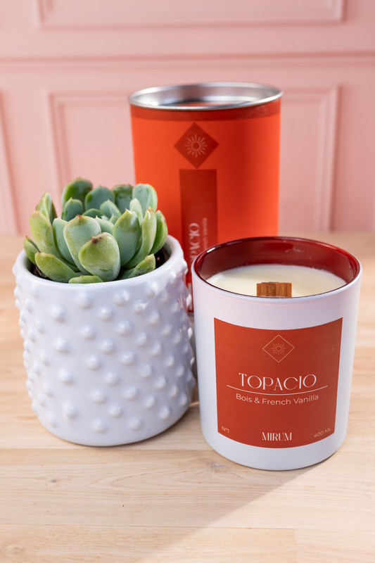 Kit Vela Mirum Topacio - Vino Rosado + Suculenta