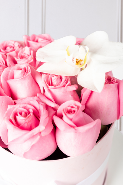 Everest - Caja de Rosas Claritas y Orquídea CH Atizapán