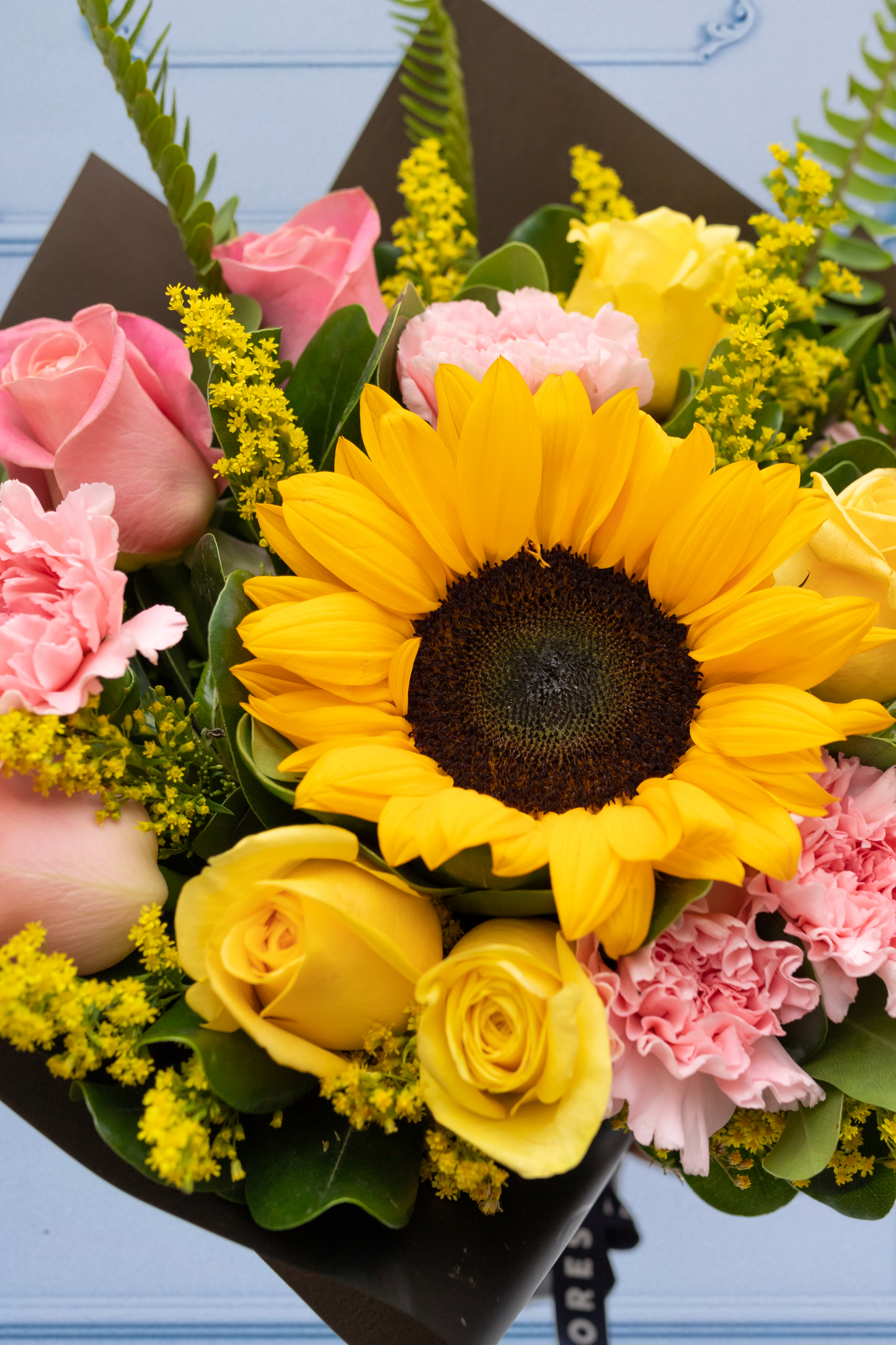 Amable / Girasol, Rosa Blanca y Clavel Rosa COACALCO