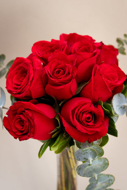La Vida en Rosa Petite / Rosa Roja CEL.