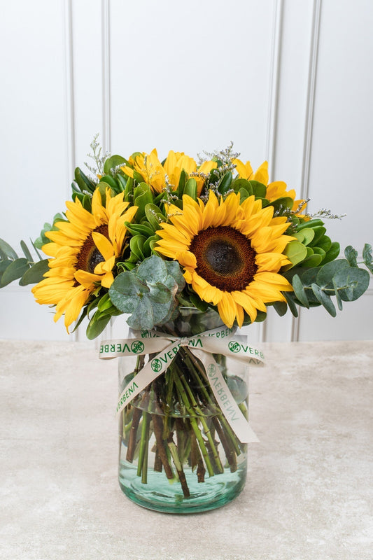 Sonrisa de Sol // Girasoles APO