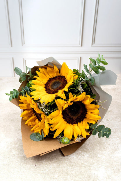 Solecito - Girasoles PTO. ESCOND.