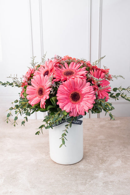 Dulce Primavera - Gerbera Rosa XAL
