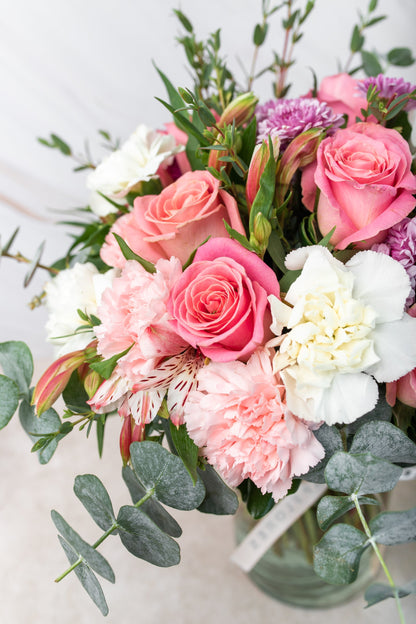 Fuego  / Rosa Clarita, Clavel Rosa y Blanco IRAPUATO