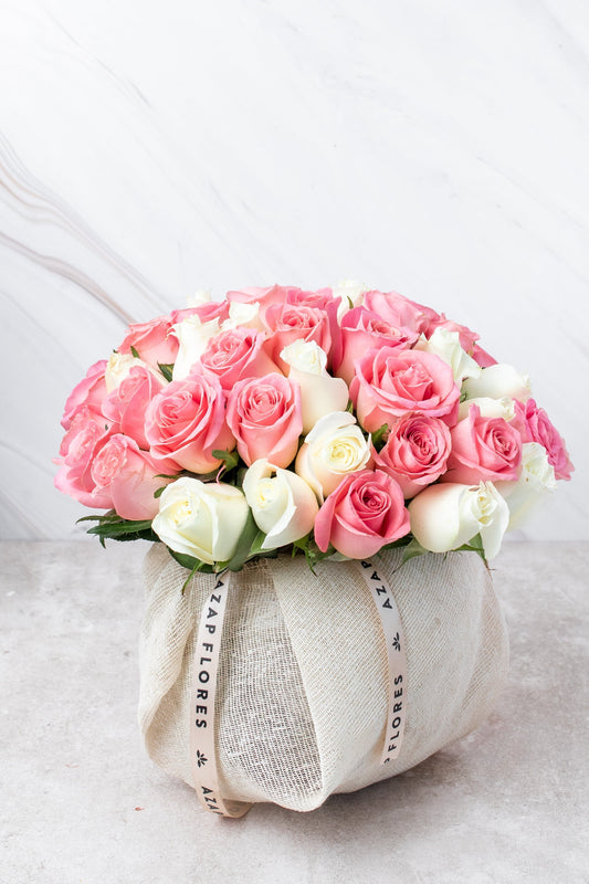 Burbuja de Rosas // Rosas Blancas y Claritas SNL