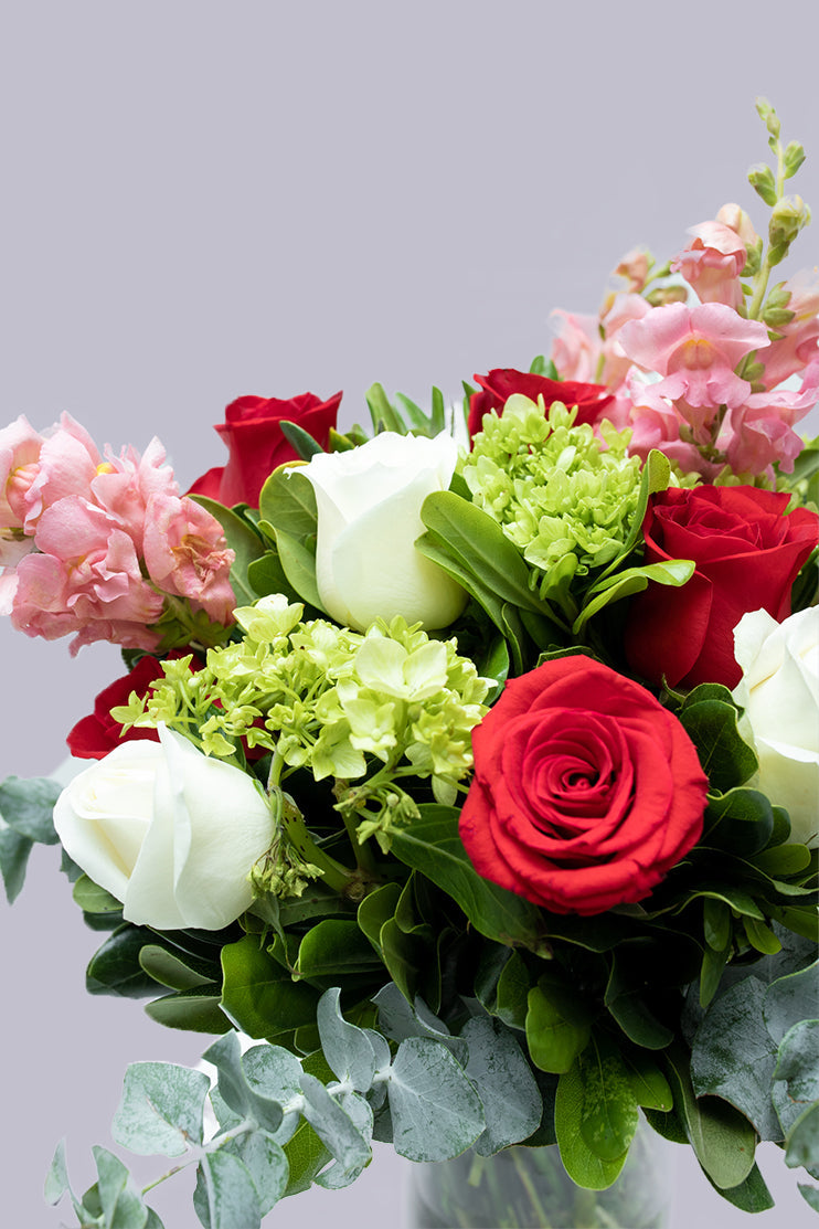 Momentos // Rosa Blanca y Roja, Hortensia SNL