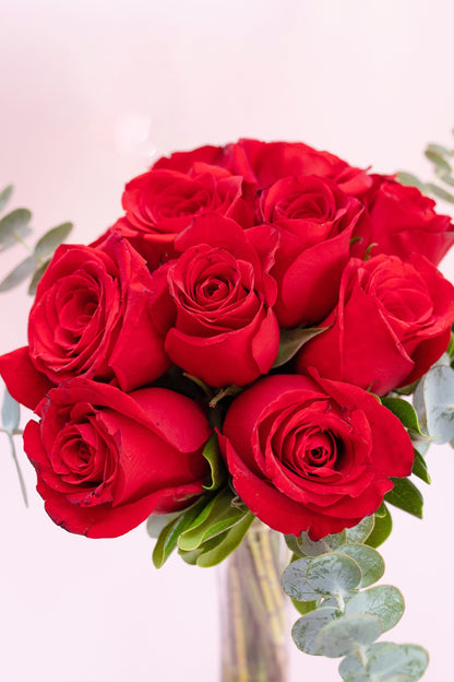 12 Rosas Rojas - Flores TGZ