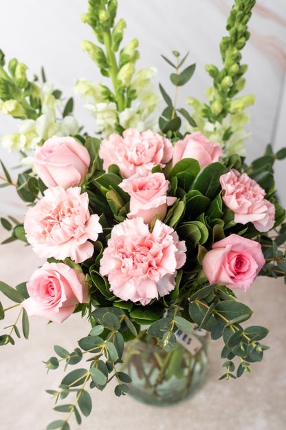 Campo Rosa / Rosa Clara y Clavel Rosa TORREÓN