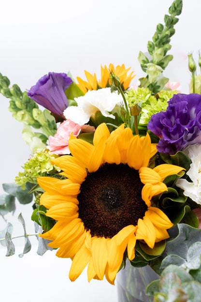 Emocionante / Girasol, Clavel Rosa y Blanco, Hortensia TORREÓN