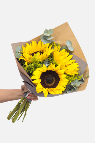 Forelsket / Girasoles COACALCO