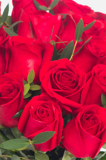 Amor con Rosas - Rosa Roja GDL