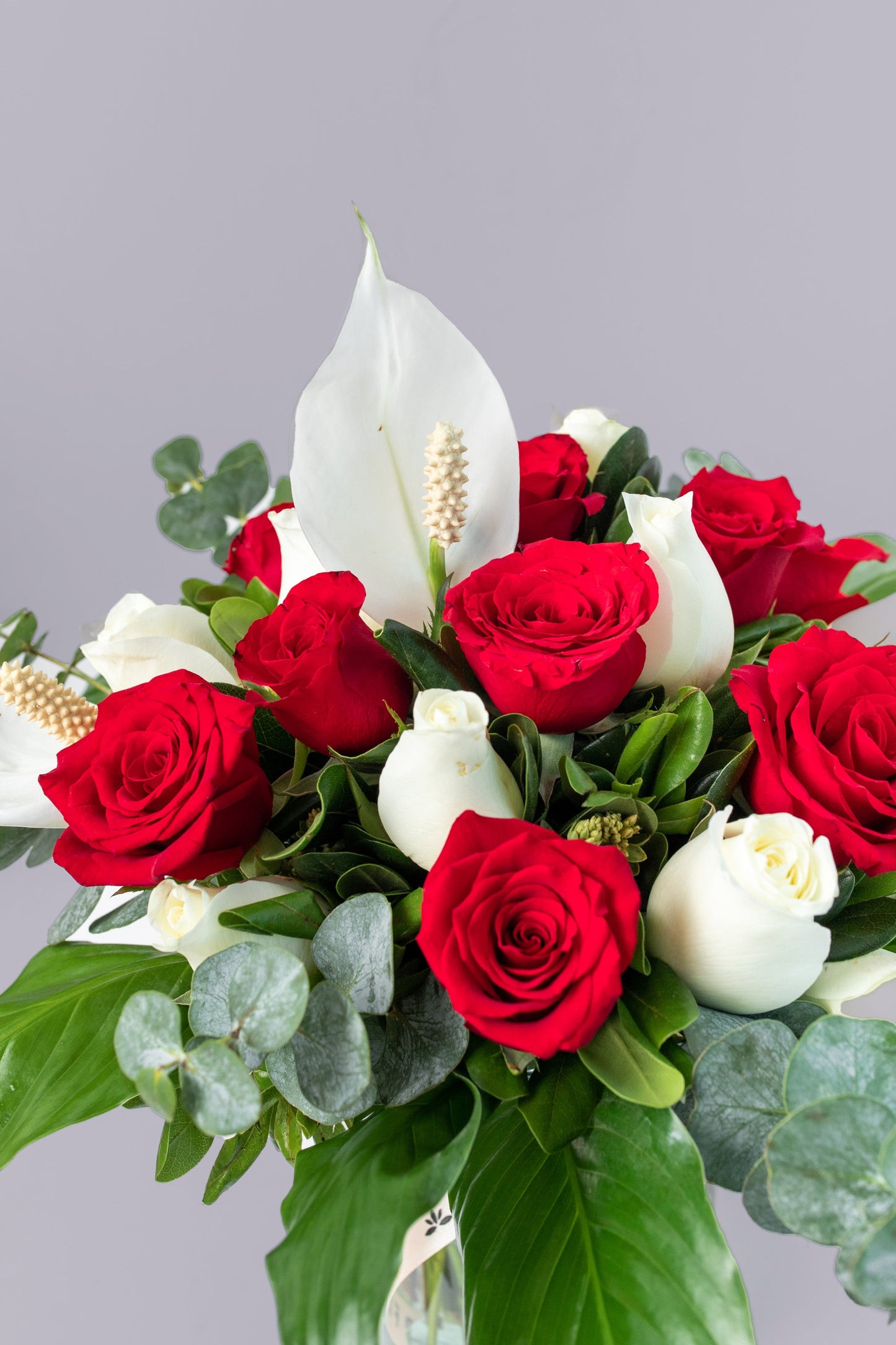Tropical Air - Red and White Rose with Moses Cradle