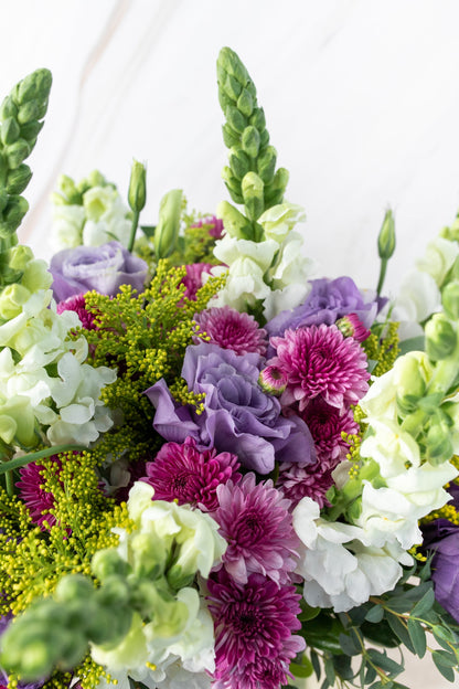 Aurora Boreal / Lisianthus Morada, Morelianas y Perrito Blanco
