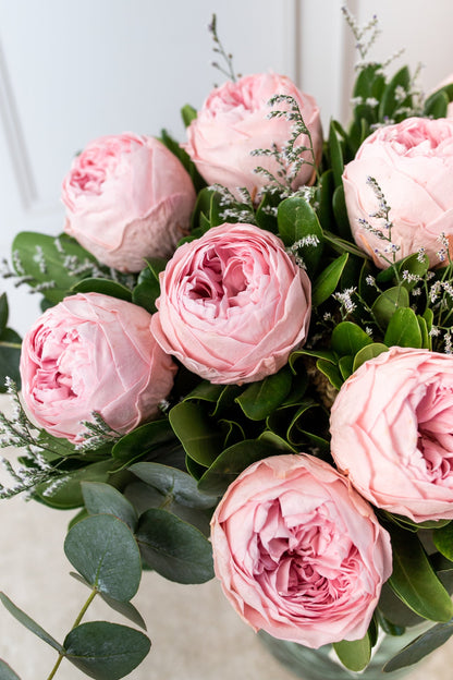 Limonada Rosa - Peonia Eterna