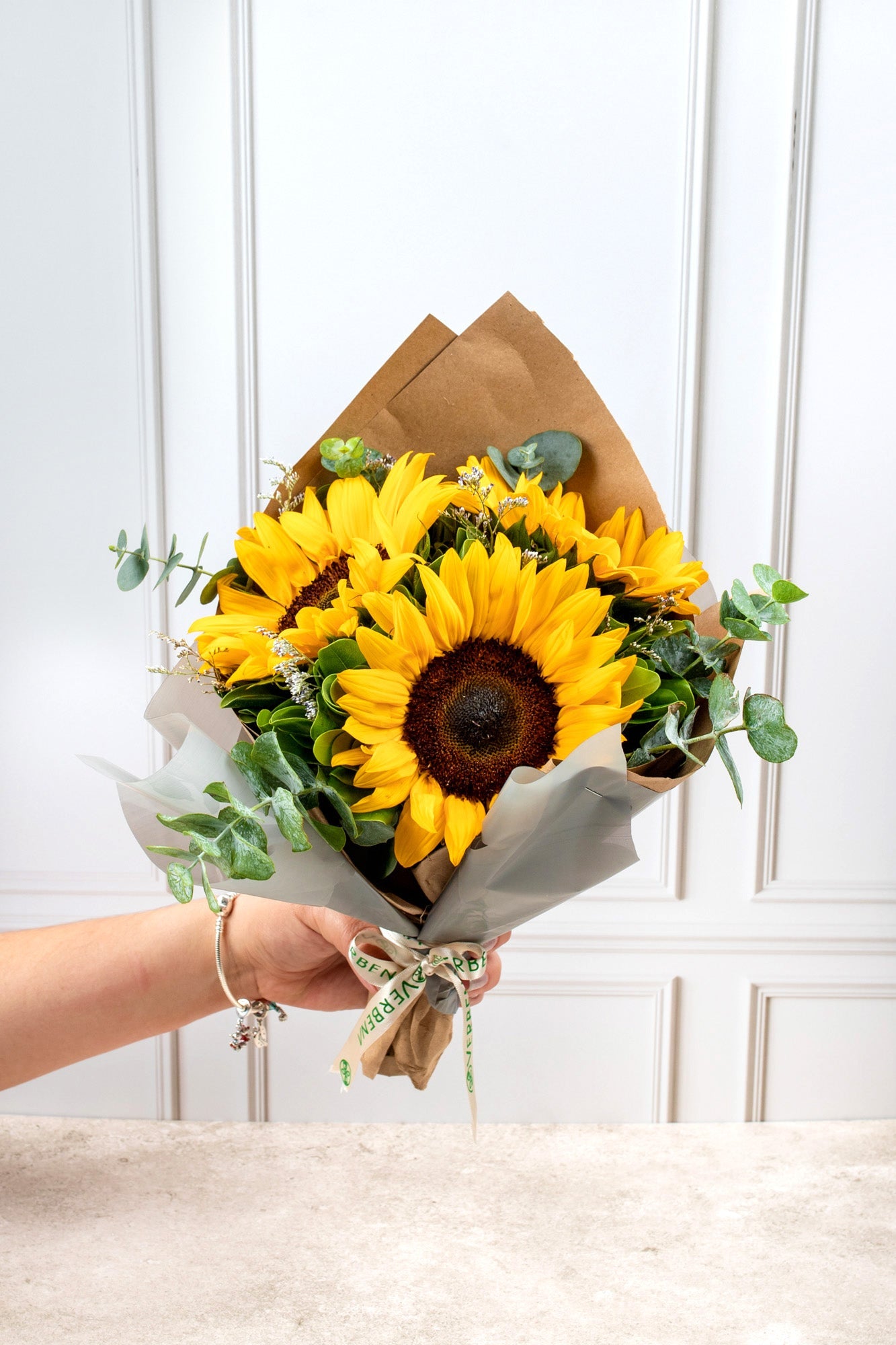 Solecito / Girasoles COACALCO