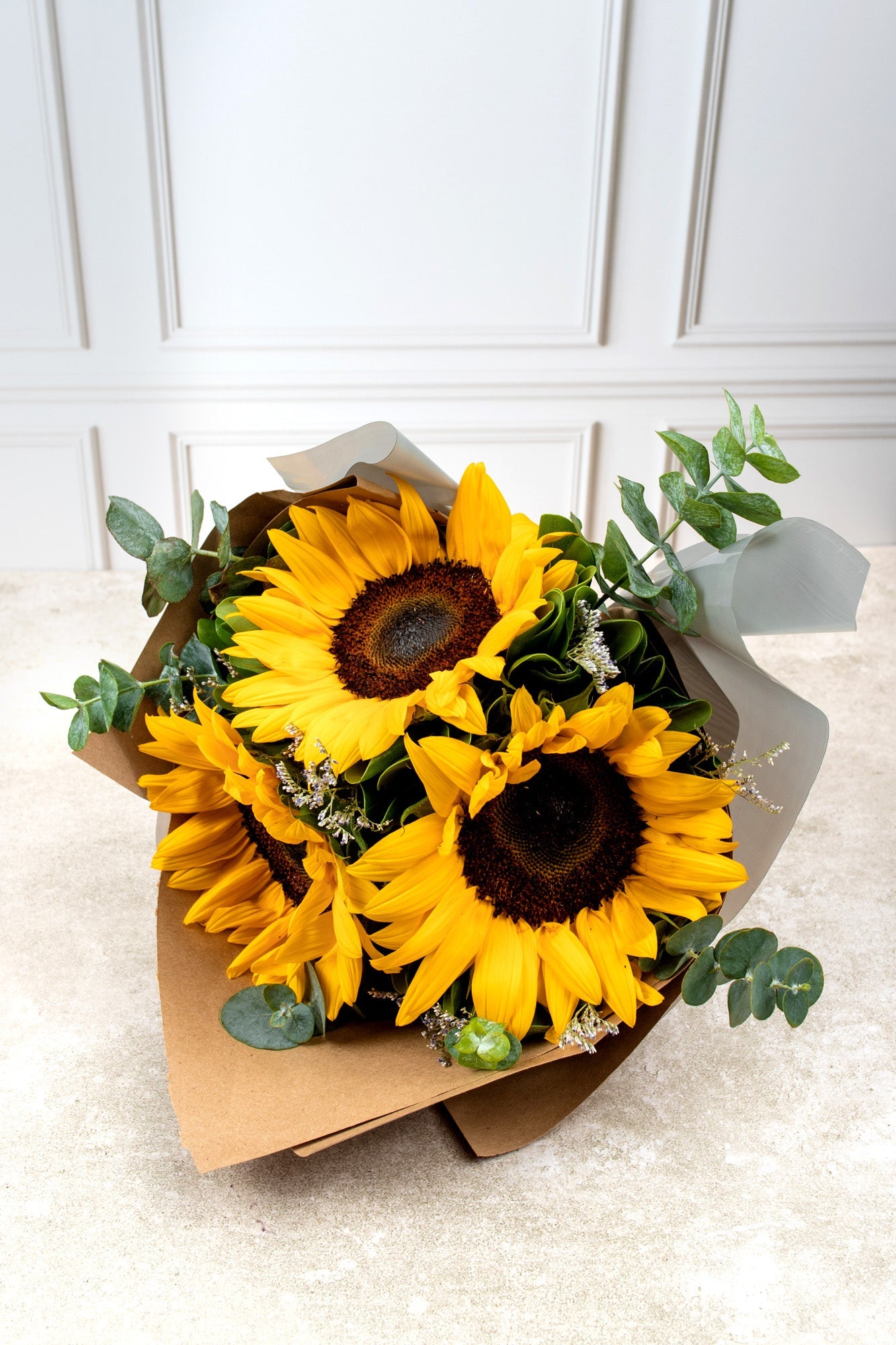 Solecito / Girasoles COACALCO