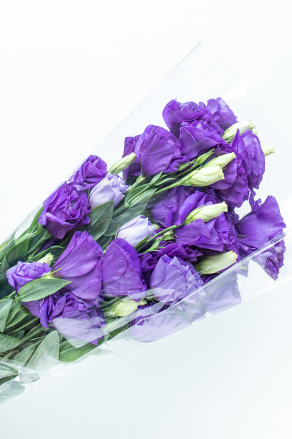Paquete de Lisianthus Morado