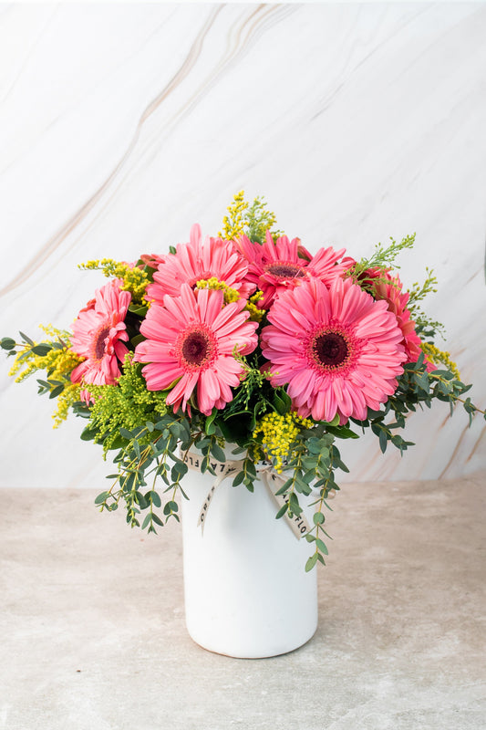Chispitas de Gerberas / Gerbera Rosa TORREÓN