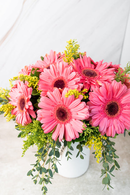 Chispitas de Gerberas / Gerbera Rosa TORREÓN