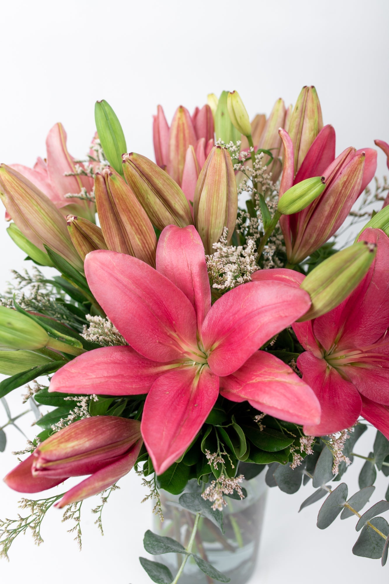 Las Brisas // Lilium Rosa