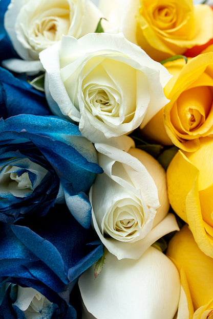 Pride - Flores